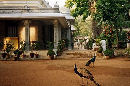 Ashram di Ramana Maharshi - Tiruvannamalai